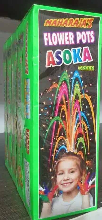 FLOWER POTS ASHOKA / பூச்சட்டி அசோகா