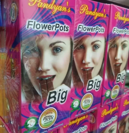 FLOWER POTS BIG / பூச்சட்டி பெரிது