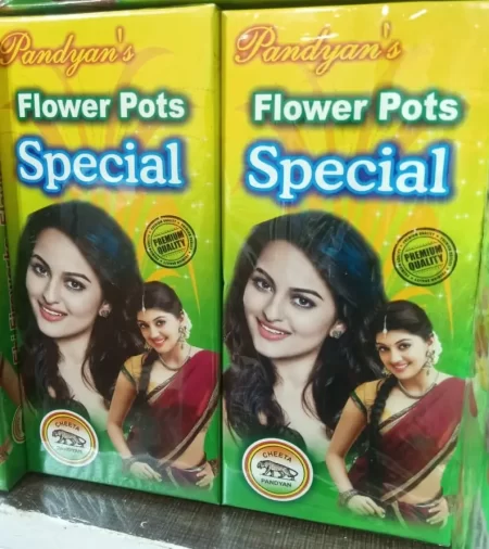 FLOWER POTS SPECIAL / பூச்சட்டி ஸ்பெஷல்