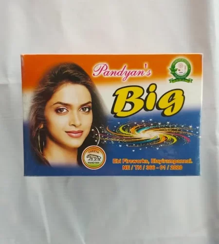 CHAKKARA BIG / தரை சக்கரம் பிக்