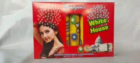 WHITE HOUSE / வைட் ஹவுஸ்